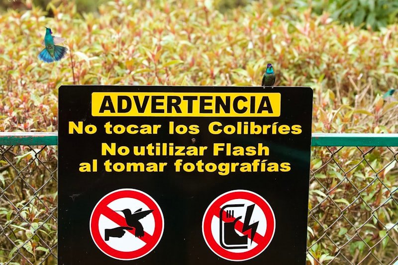 no smoking no smoking sign